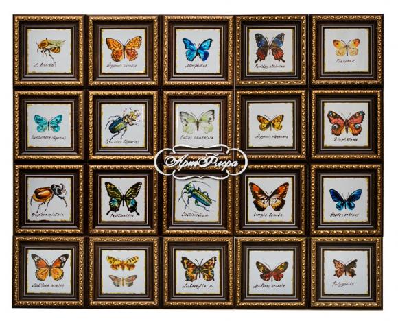 Большая коллекция насекомых, 1 шт., 14 х 14 см